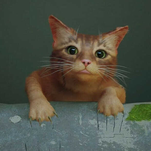 Stray review: niet voor de poes, zeker wel voor de mens