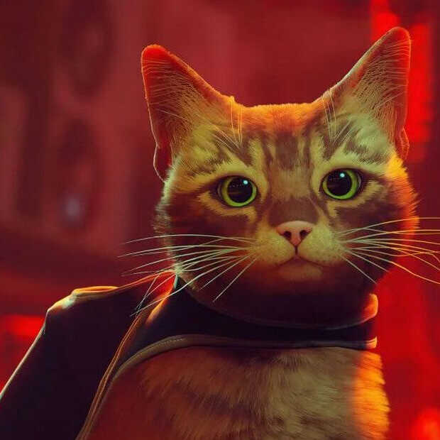 Deze 5 games zijn de populaire spellen van zomer 2022