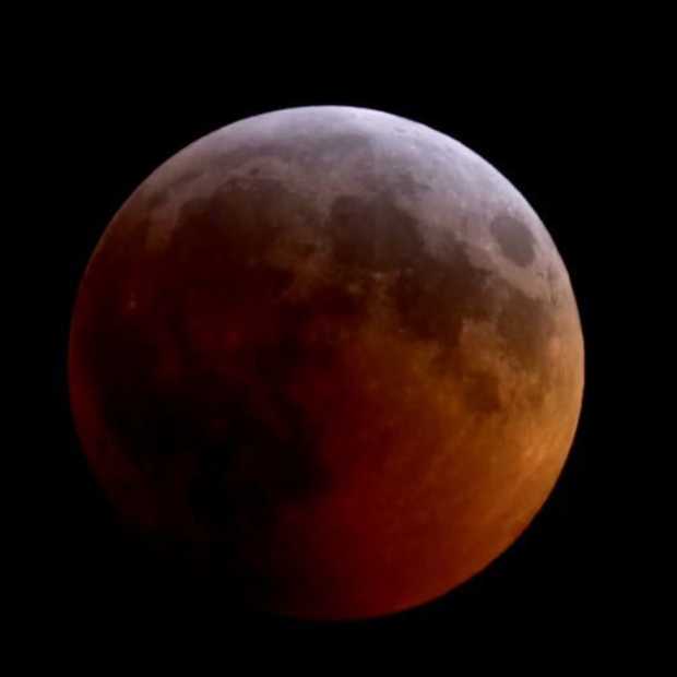 De mooiste foto's van de bloedmaan