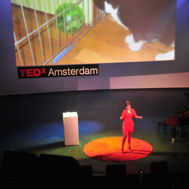 Tinkebell op TEDx: ‘Niets is wat het lijkt’