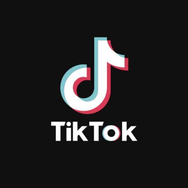 Hoe video's op TikTok de Amerikaanse verkiezingen (kunnen) beïnvloeden