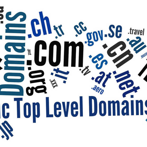 Welke GTLD's zijn populair in Nederland? [Infographic]