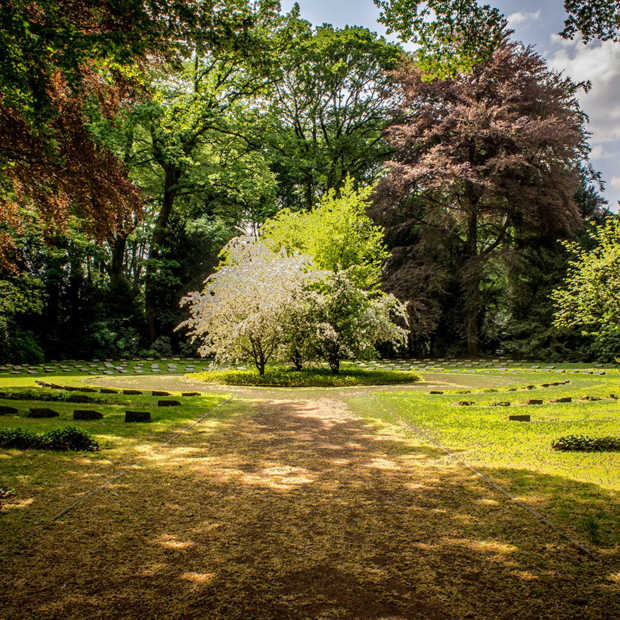 ​Is jouw tuin alweer klaar voor een beetje zon? Zo maak je jouw tuin lenteklaar!