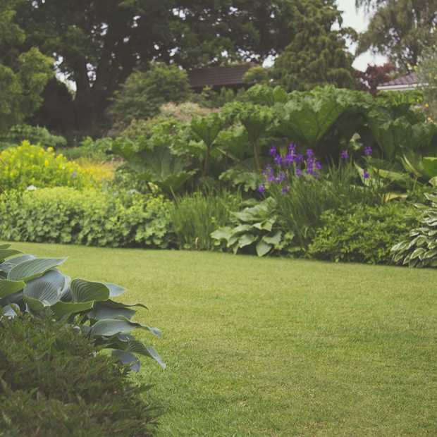 Tuin herinrichten? 8 zaken om rekening mee te houden