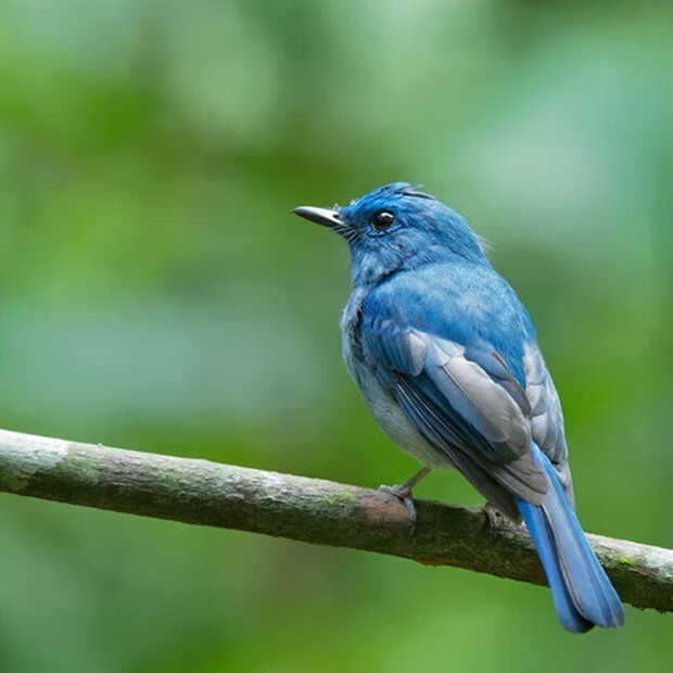 5 redenen om nu nog met Twitter te beginnen