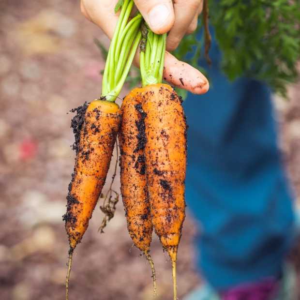 De Vegetarische Slager is overgenomen door Unilever