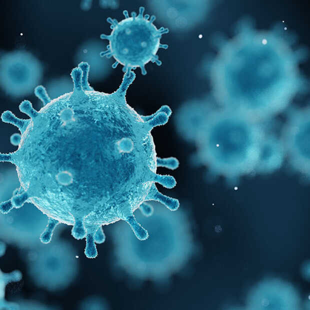 Sprong naar nieuwe gastheersoort luidt gevaarlijkste periode virusinfectie in