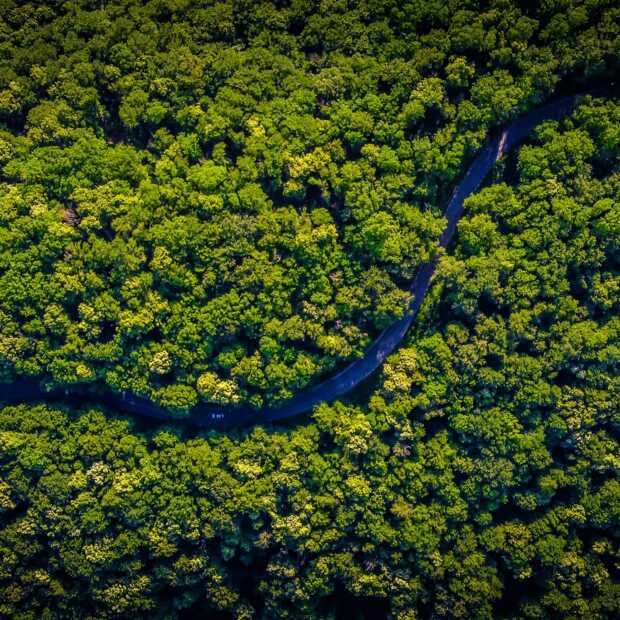 'Stukken Amazone-regenwoud verkocht via Facebook'