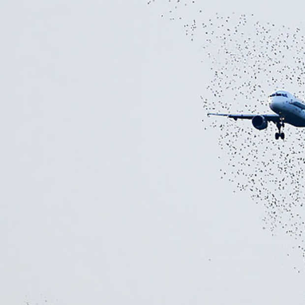 Nieuwe drone jaagt vogels weg van luchthavens