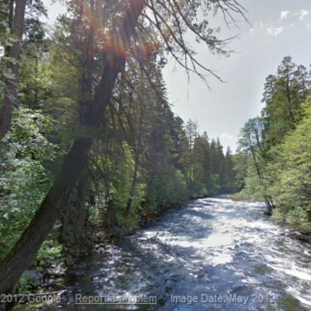 Wandelen door het bos met Google's Street View