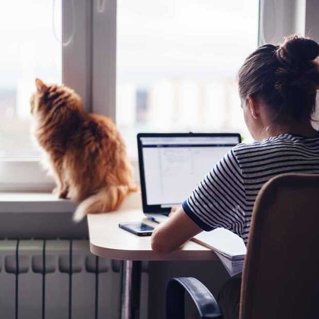 10 ergonomische do's en don'ts voor werken vanuit huis