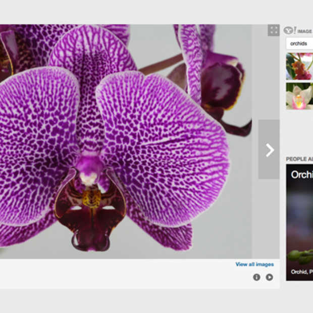 Yahoo toont nu ook foto's Flickr bij zoeken naar afbeeldingen