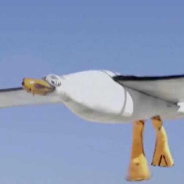 Nivea ontwerpt zeemeeuwdrone die zonnebrandcrème poept op kinderen