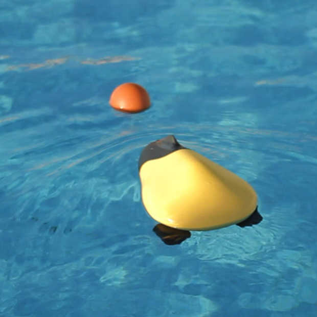 Ziphius, drone die onderwater foto's en video's maakt