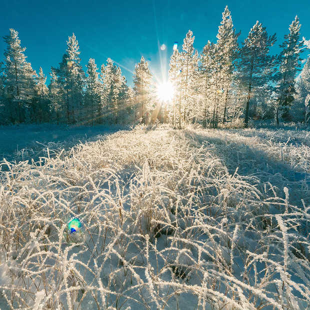 Google Travel Monitor: kerstshoppen in Londen en de winterzon in Spanje