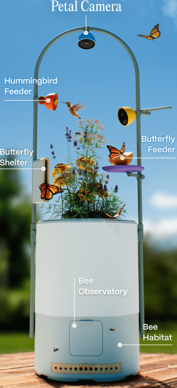 Insecten