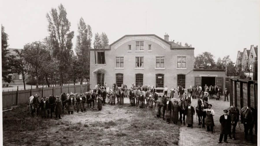 paarden-op-stal