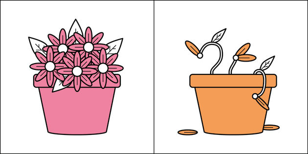 Kun jij voor planten zorgen?