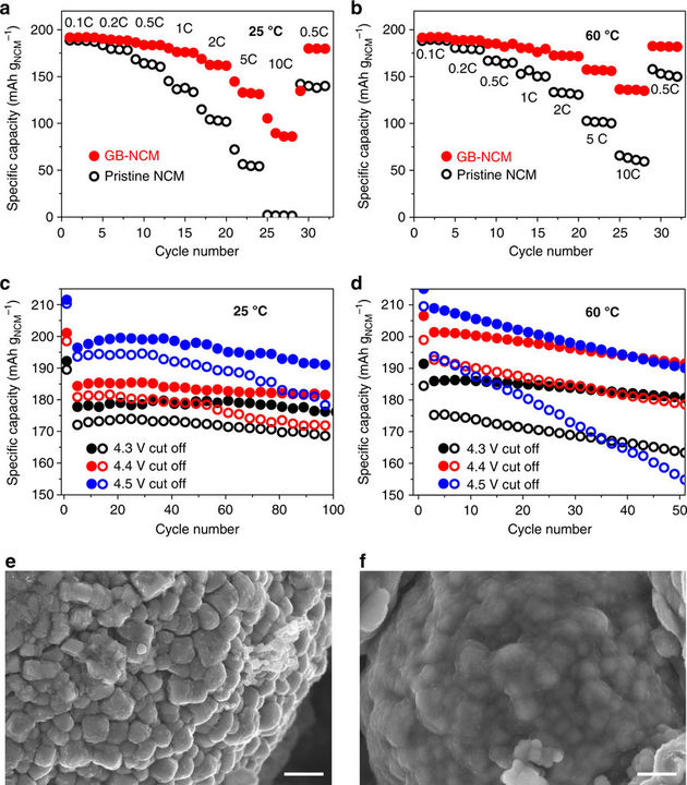 41467_2017_1823_Fig4_HTML