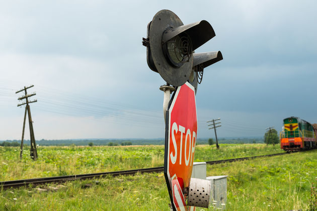 Foto: rootstocks - Adobe stock