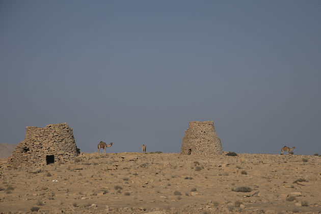 Wakker worden op het Salma Plateau