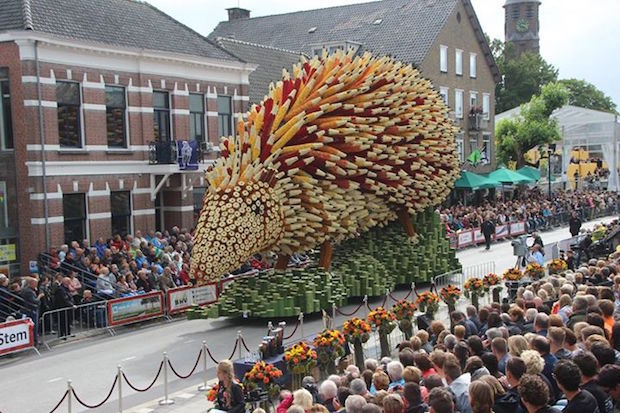 Foto: Stichting Bloemencorso Zundert