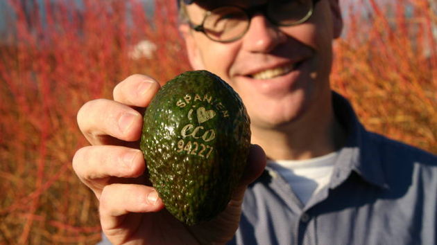 Het brandmerk op een Avocado (foto: Eosta)