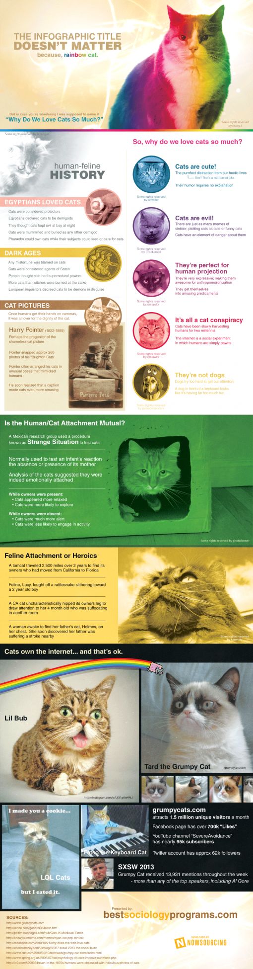 cats-infographic.jpg
