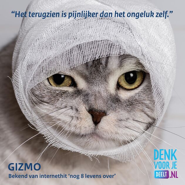 Denkvoorjedeelt_Post_Gizmo