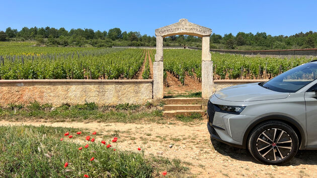 Maar ook langs wijngaarden van de exclusieve Grand Cru`s zoals deze Puligny-Montrachet