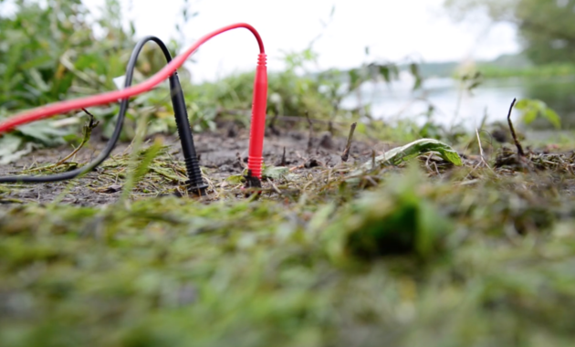 Energie uit planten: de potentie is hoog