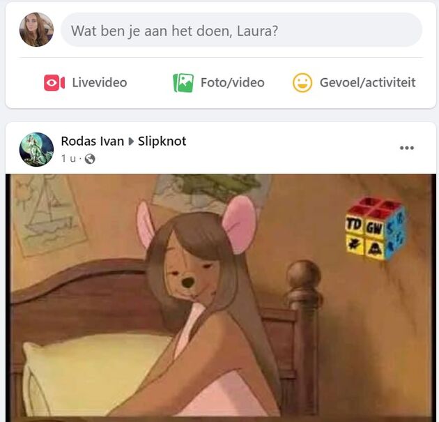 Facebookprobleem