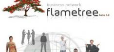 flametree-stopt-ermee.jpg