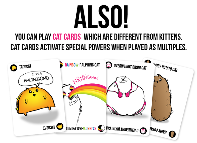 gameofkittens-4