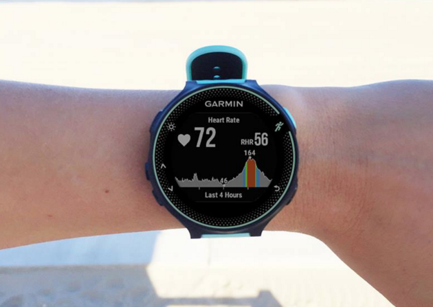 garmin