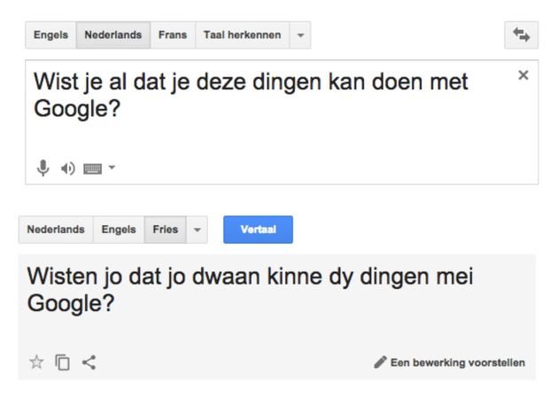 google-translate-fries