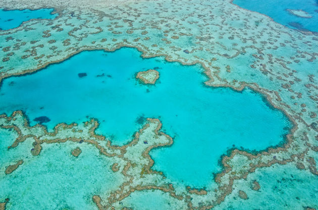Het Great Barrier Reef van bovenafFoto: Anh Ngo - Fotolia