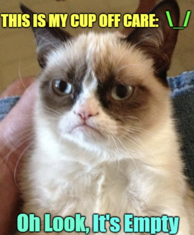 Grumpy Cat overleden