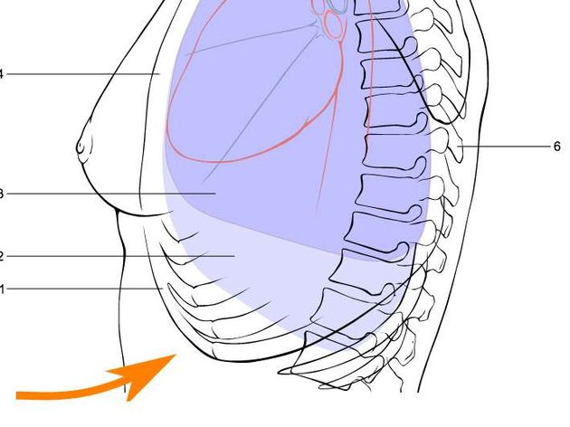 <em>[Afbeelding \u00a9 Wikimedia commons]<\/em><em><\/em>