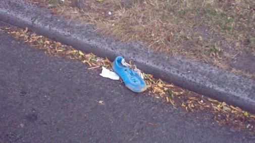 het-mysterie-van-roadsideshoe-com.jpg