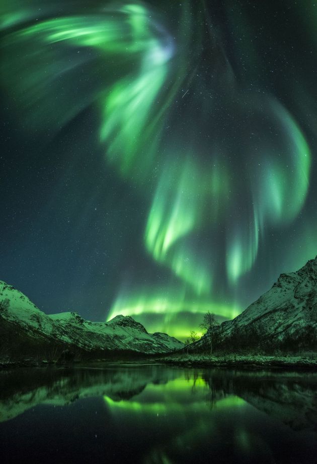 Noorderlicht in Olderdalen, Noorwegen. Fotocredit: Jayn R. Olsen.