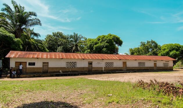 UNDO plant bomen in Congo om de CO2-uitstoot te compenseren.