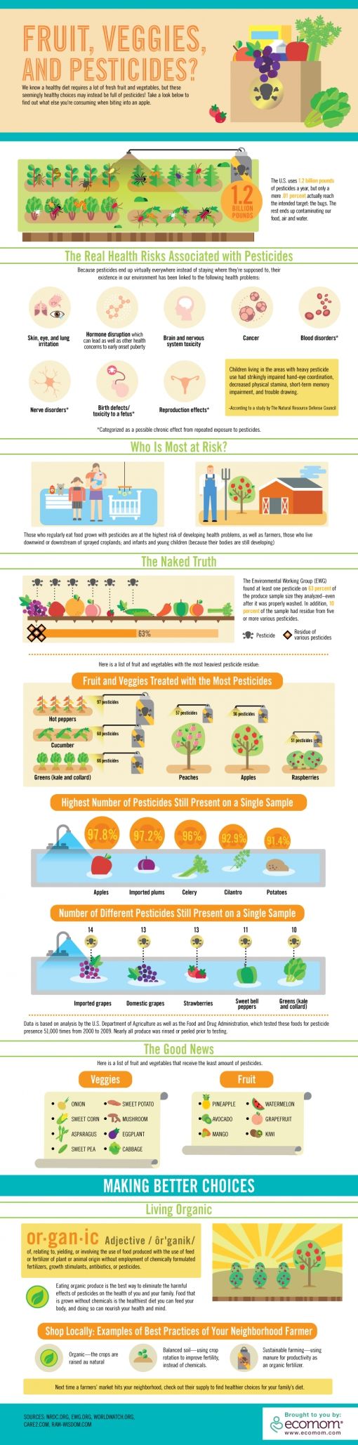 infographic-pesticides2.jpg