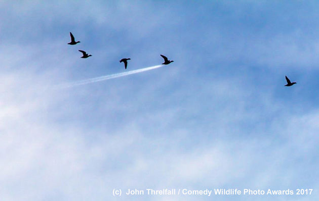 De winnende foto van John Threlfall.