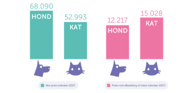 katten-versus-honden