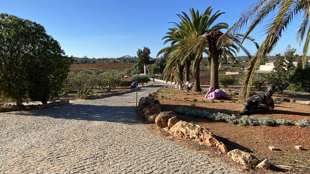 Genieten van wijn, kunst, luxe en het leven in de Algarve