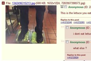 lettuce4chan.jpg