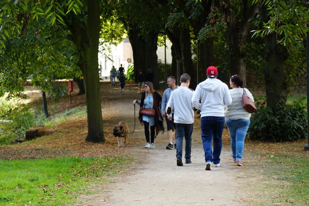 Ford Lillo, verscholen in het havengebied van Antwerpen