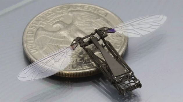 maak-kennis-met-robo-fly-s-werelds-klein.jpg