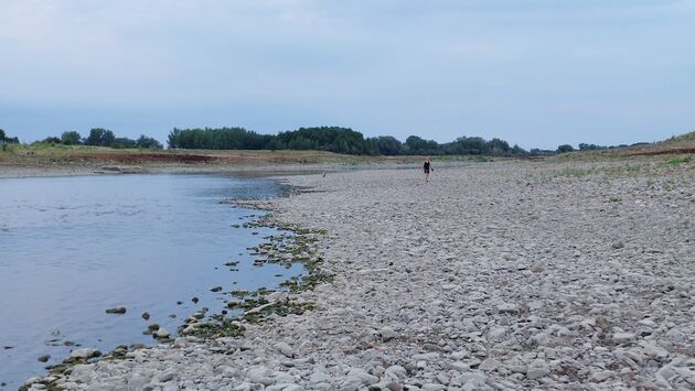 Lopen `in` de Maas bij Grevenbicht